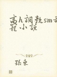 高h调教sm甜宠小说