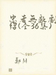 忠者无敌剧情介绍(全36集)