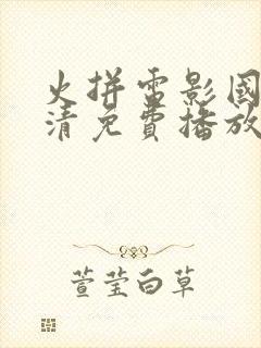 火拼电影国语高清免费播放