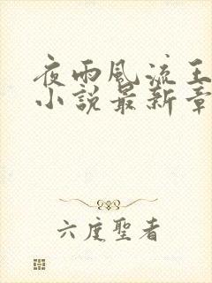 夜雨风流王铁柱小说最新章节更新内封面