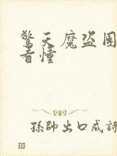 惊天魔盗团1没看懂