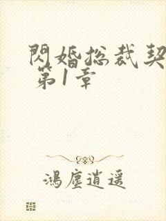 闪婚总裁契约妻 第1章