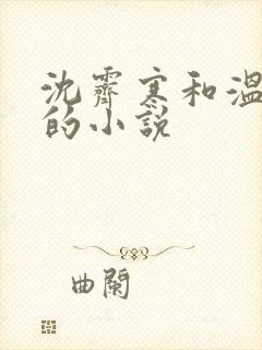 沈霁寒和温栀妍的小说封面