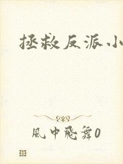 拯救反派小可怜封面