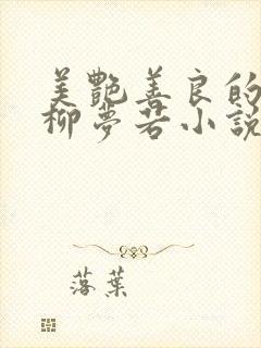 美艳善良的教师柳梦若小说阅读封面