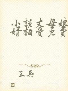 小说丈母娘和女婿相爱免费阅读