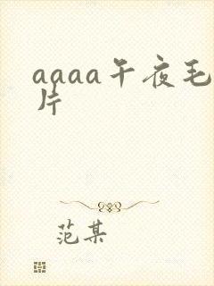 aaaa午夜毛片封面