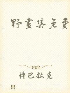 野画集免费看封面