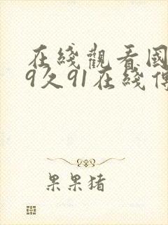 在线观看国产99久91在线传媒封面