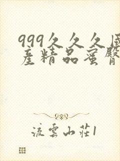 999久久久国产精品蜜臀av