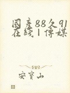 国产88久91在线 | 传媒