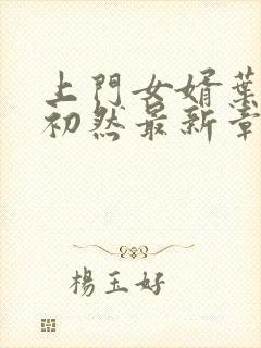 上门女婿叶辰萧初然最新章节免费阅读