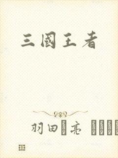 三国王者