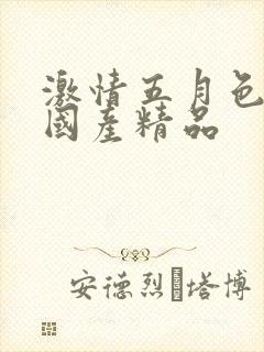 激情五月色综合国产精品封面