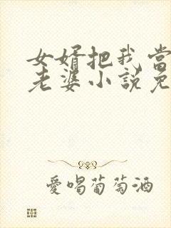 女婿把我当成他老婆小说免费阅读