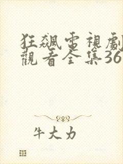 狂飙电视剧免费观看全集36集