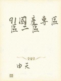 91国产专区一区二区