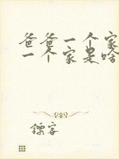 爸爸一个家妈妈一个家是啥电视剧