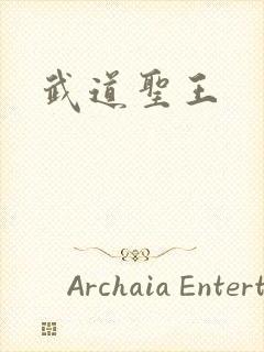 武道圣王