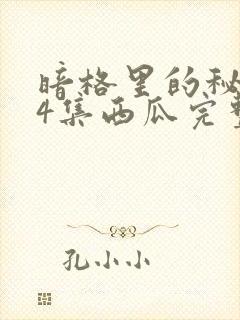 暗格里的秘密24集西瓜完整版免费