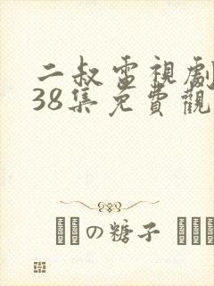 二叔电视剧全集38集免费观看封面