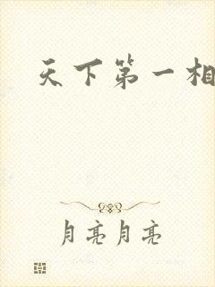 天下第一相书封面