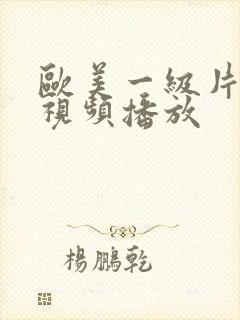 欧美一级片内射视频播放