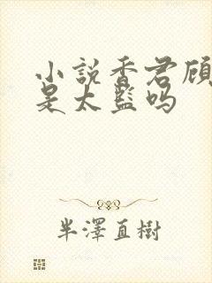 小说香君顾亭雪是太监吗