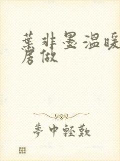 叶非墨温暖在厨房做