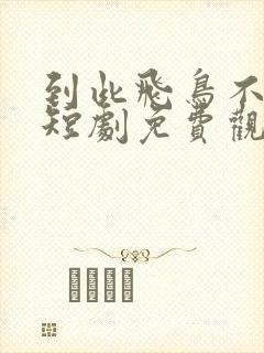 到此飞鸟不相逢短剧免费观看