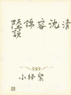 陆锦容沈清羽小说封面