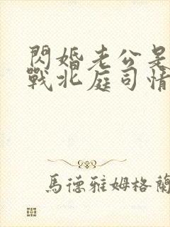 闪婚老公是豪门战北庭司情短剧