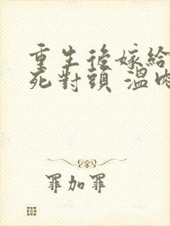 重生后嫁给渣男死对头 温肉肉