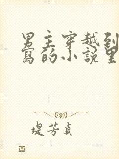 男主穿越到自己写的小说里