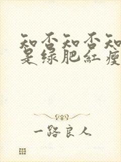 知否知否知否应是绿肥红瘦dvd版在线观看