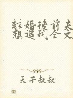 离婚后前夫总是想追我全文免费封面