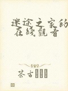 迷途之家的姐姐 在线观看