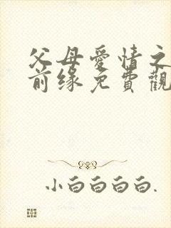 父母爱情之再续前缘免费观看全集高清