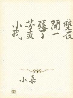 小芳张开双腿让我爽了一夜