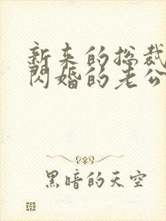 新来的总裁竟是闪婚的老公短剧免费观看