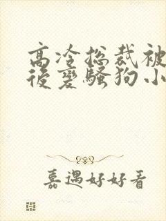 高冷总裁被催眠后变骚狗小说