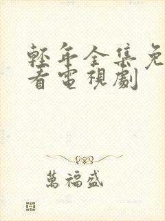 轻年全集免费观看电视剧