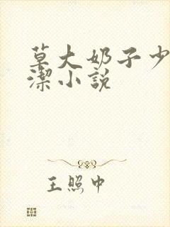 草大奶子少妇白洁小说