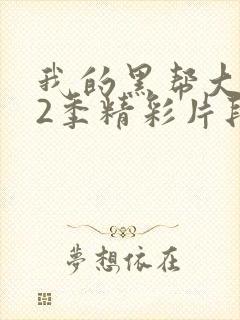 我的黑帮大佬第2季精彩片段