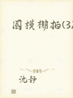 国模棚拍(3)封面