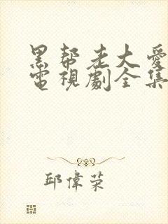 黑帮老大爱上我电视剧全集免费观看