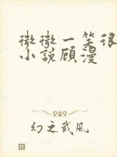 微微一笑很倾城小说顾漫