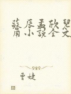 苏辰孟欣儿为主角小说全文免费阅读