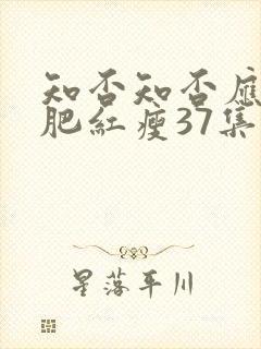 知否知否应是绿肥红瘦37集