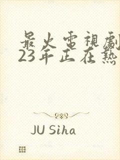 最火电视剧2023年正在热播